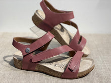 Lataa kuva Galleria-katseluun, Josef Seibel sandaali buttero/altrosa