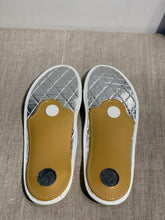 Lataa kuva Galleria-katseluun, Talvimuoto pohjallinen